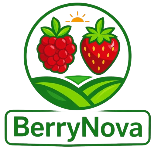 BerryNova logo